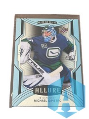 2020-21 Upper Deck Allure SP Double Rainbow Michael DiPietro #117 Rookie